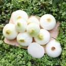 팔도농장 이미지