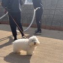 더 투어플레이스
