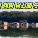 붕어가족