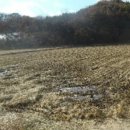 적서리 마을회관 이미지