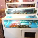 애견포차 이미지