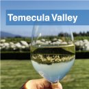 STAY Valley 90 | 미국 캘리포니아 · 테메큘라 밸리 Ponte Winery | 폰테 와이너리
