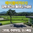 메이플비치CC 라운딩후기와 갤럭시워치8 골프에디션 제대로 활용한 후기 (feat.메이플비치 그린피, 주변...