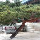 태봉기물