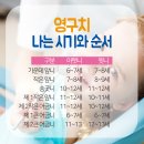 예스치과의원 이미지
