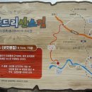 오랍드리 이미지