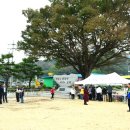 청천초등학교 이미지