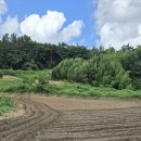 옥터농장 이미지