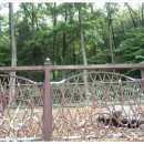 운학동 돌방무덤 이미지