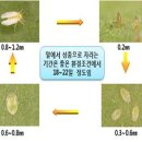 12/5 - 12/11 이미지