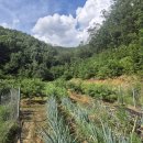 국보공인중개사사무소 이미지