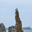 동해시-03 이미지