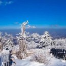 3공장산악회 2025년 1월 태백산 신년산행 이미지