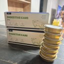 우소세강한의원 | 복부 종양 밥 안먹는 고양이, 초록색 공복토 주사기 습식캔 추천