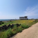 우도면사무소 이미지