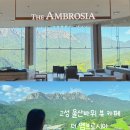 더엠브로시아 | 고성 울산바위뷰 카페 소노펠리체 델피노 더엠브로시아 주말 오픈런 후기