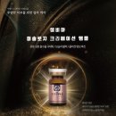 셀비아 네이버블로그