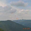 신여사