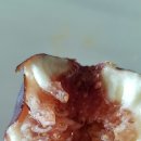 하궁농장 이미지