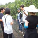 태양농장 이미지