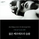 괴테의 젊은 베르테르의 슬픔 이미지