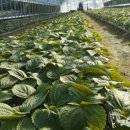 고랑두랑 이미지