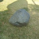 백구공원 이미지