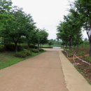 미사한강1호공원 이미지