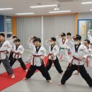 J.J 태권도장 이미지