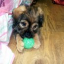 천사안경 이미지