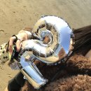 씨유 개봉노을점 | “2026년 January”