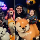 현대그린마트 | 파주 뮤지엄헤이 아이랑 방문 후기 입장료 운영시간 및 인생샷 건지는 관람 꿀팁 총정리