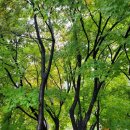 죽전현대공인중개사사무소 이미지