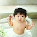 G(지) 스튜디오
