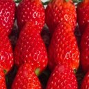 충남기름집 이미지