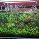 대형51세차장 이미지