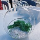 반려식물 테라리움 만들기 이미지