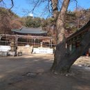 과천시청 이미지