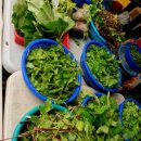 남평문씨본리세거지 주차장 이미지