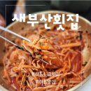 새부산식당 | 하동노량맛집 물회의 매력 / 하동 새부산횟집 / 멸치쌈밥 회덮밥도 맛있어요