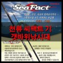 서진낚시 이미지