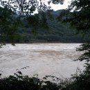 애리네식당 이미지