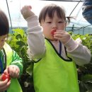 주하농장 이미지