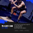 복싱 사관학교 이미지