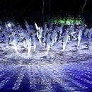 초심태권도 이미지