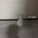 트레벨동물병원 이미지