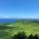 조광약국 이미지