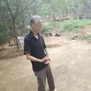 건강기체조 | 기공체조 수련후기!84세 회장님의 50년 기체조!