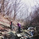 우면산7-2-5 이미지