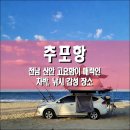 세븐일레븐 신안암태점 | 추포항, 전남 신안군 고요함이 매력인 차박, 낚시 감성 장소